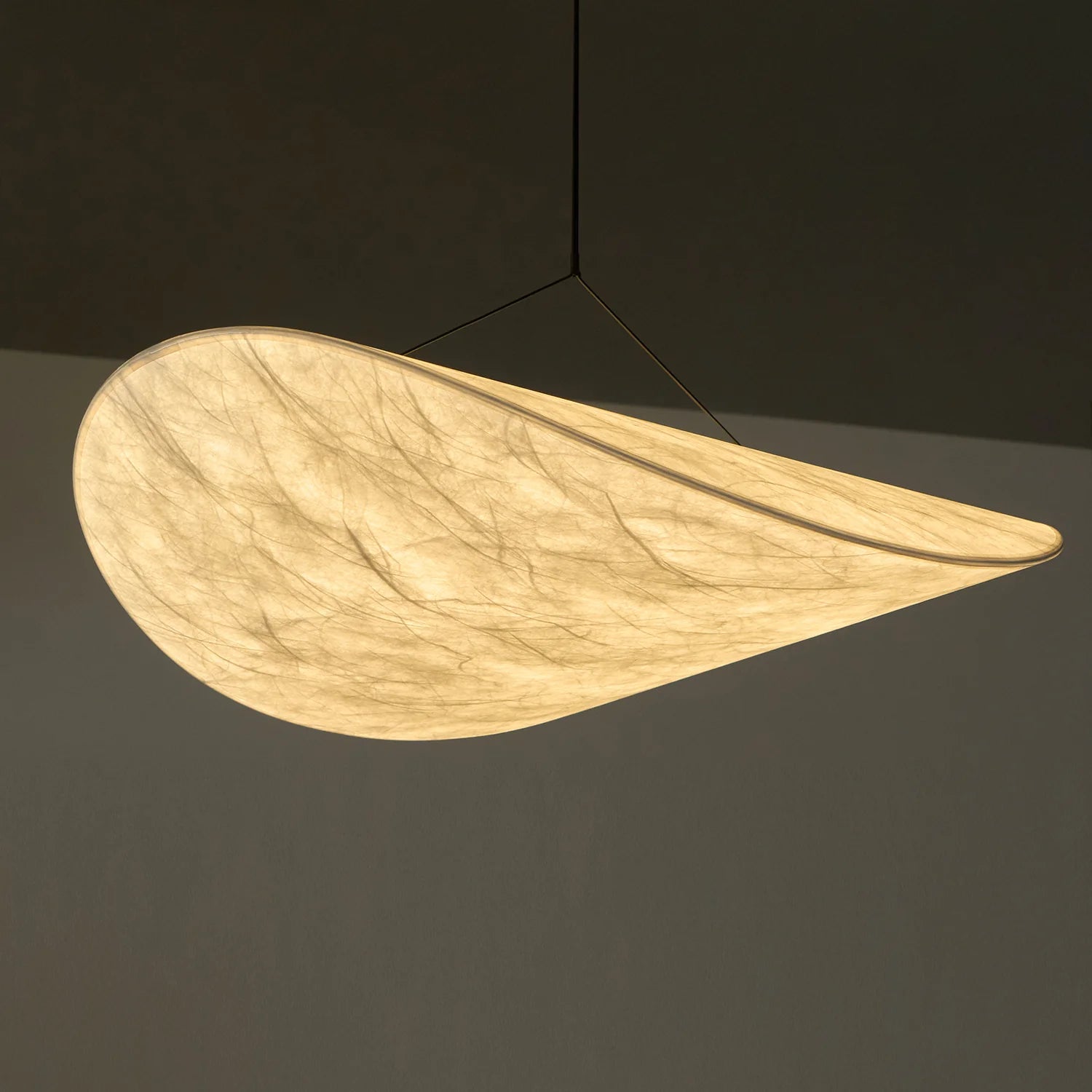 Tense Pendant Light