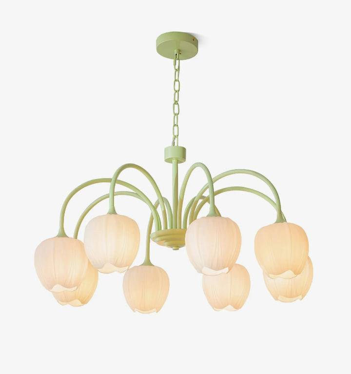 Tulip Matcha Chandelier