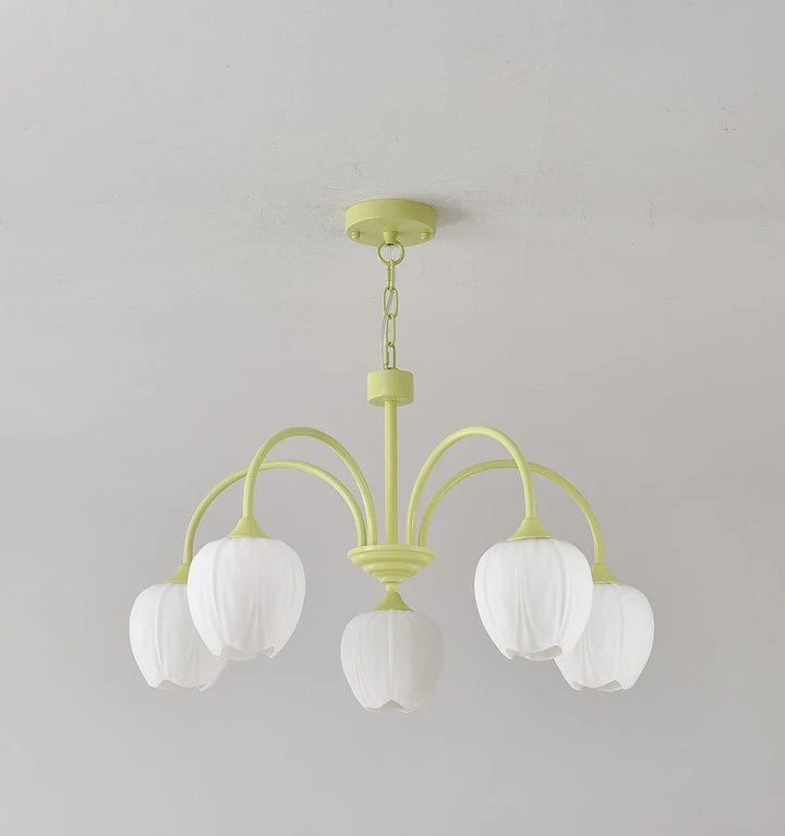 Tulip Matcha Chandelier