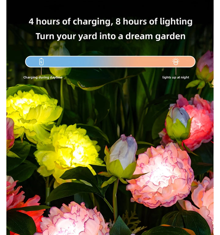 Catalina Rose Solar Garden Lights - Charging & Lighting