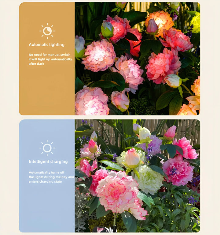 Catalina Rose Solar Garden Lights - Functions