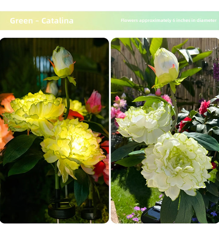 Catalina Rose Solar Garden Lights - Green