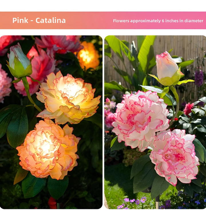 Catalina Rose Solar Garden Lights - Pink