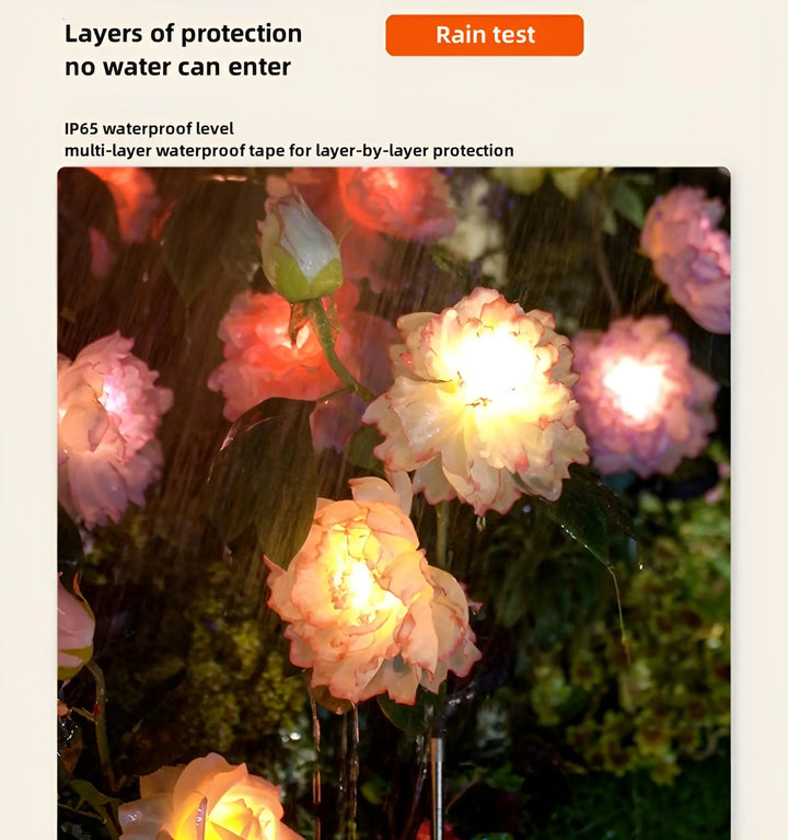 Catalina Rose Solar Garden Lights - IP65 Waterproof