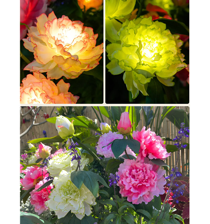 Catalina Rose Solar Garden Lights