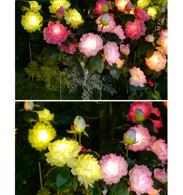 Catalina Rose Solar Garden Lights