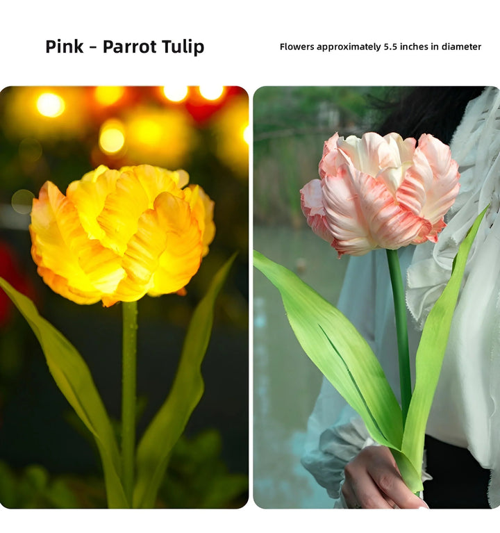 Parrot Tulip Solar Garden Lights - Pink