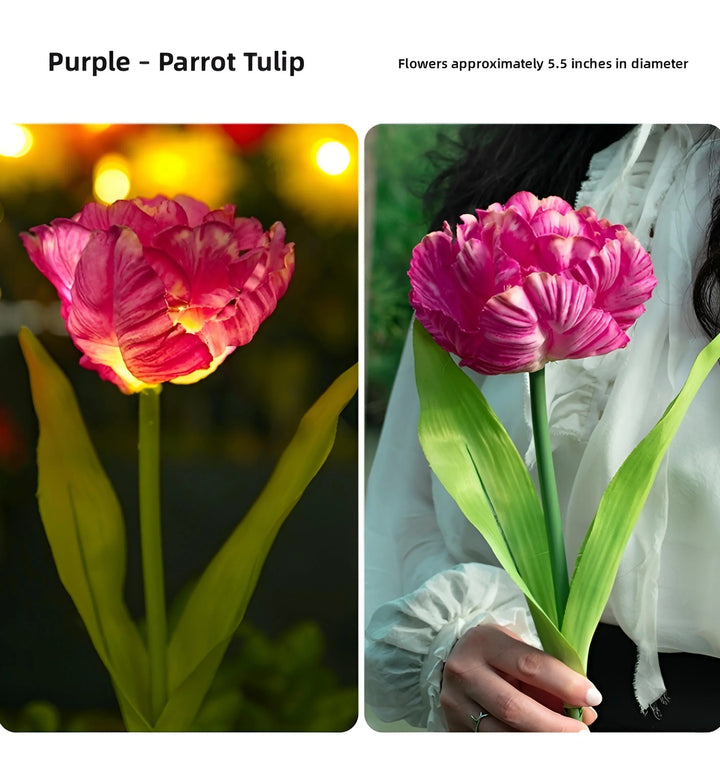 Parrot Tulip Solar Garden Lights - Purple