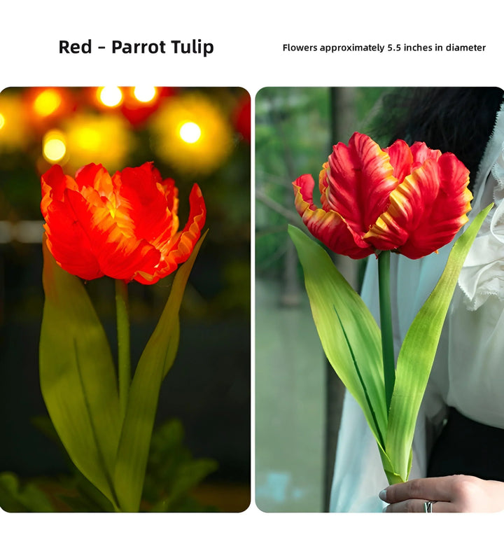 Parrot Tulip Solar Garden Lights - Red