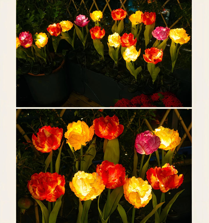 Parrot Tulip Solar Garden Lights