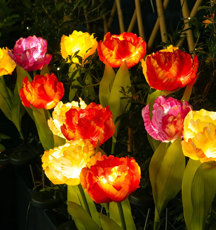 Parrot Tulip Solar Garden Lights