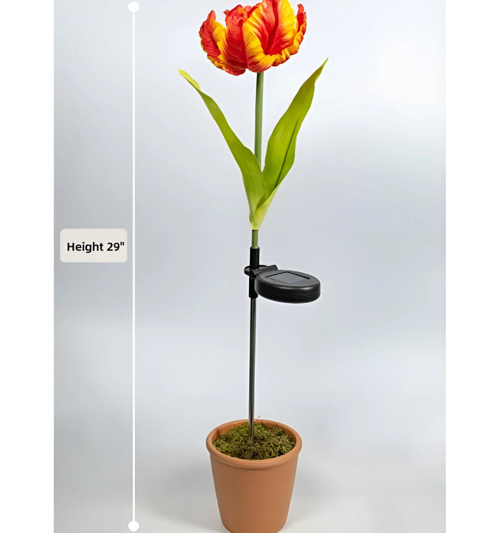 Parrot Tulip Solar Garden Lights - Size