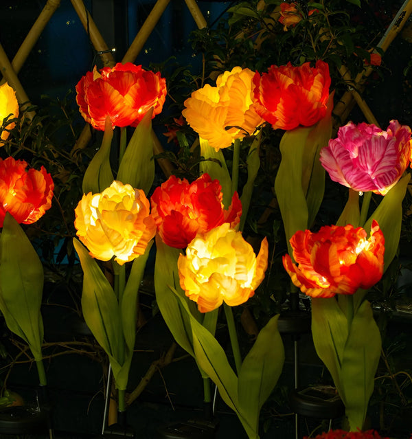 Parrot Tulip Solar Garden Lights