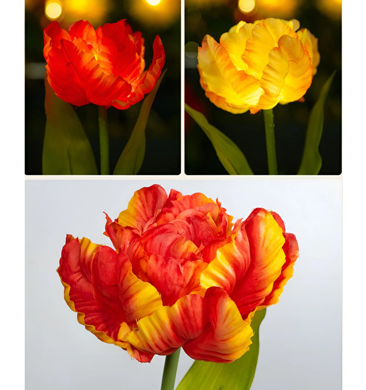 Parrot Tulip Solar Garden Lights