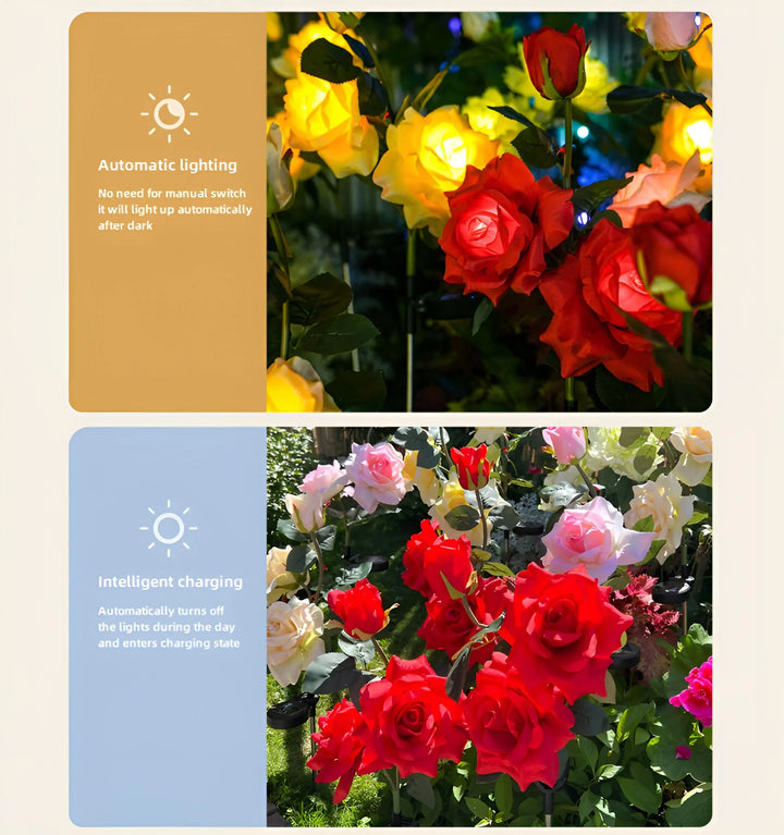 Rose Solar Garden Lights - Functions