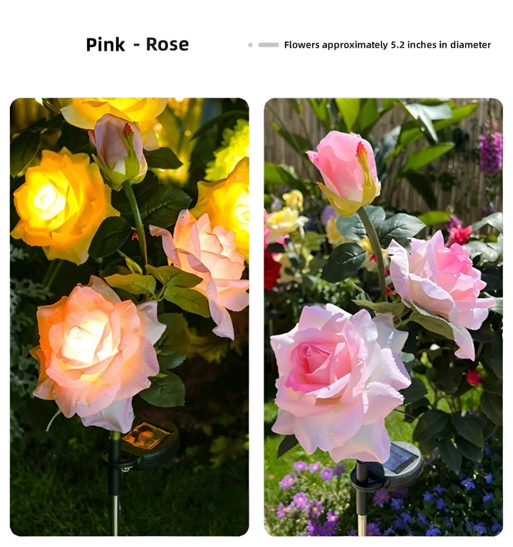 Rose Solar Garden Lights - Pink