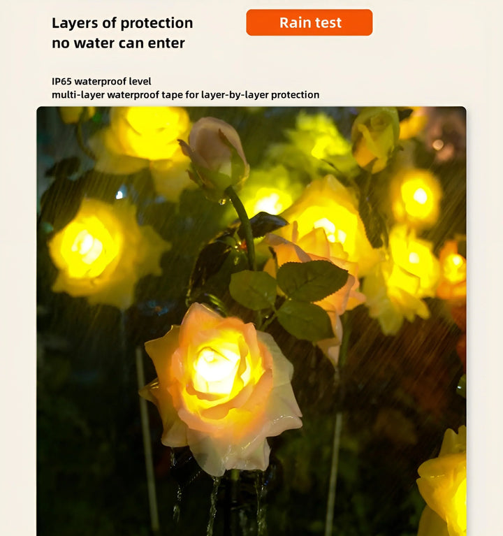 ROSE SOLAR GARDEN LIGHTS