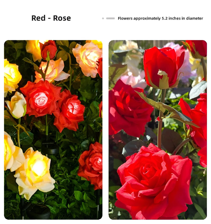 ROSE SOLAR GARDEN LIGHTS