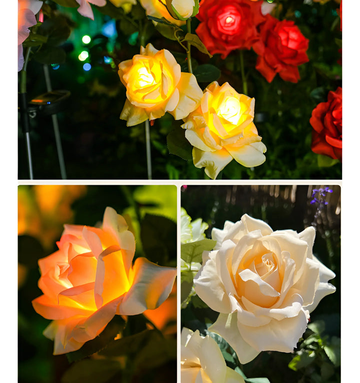 Rose Solar Garden Lights