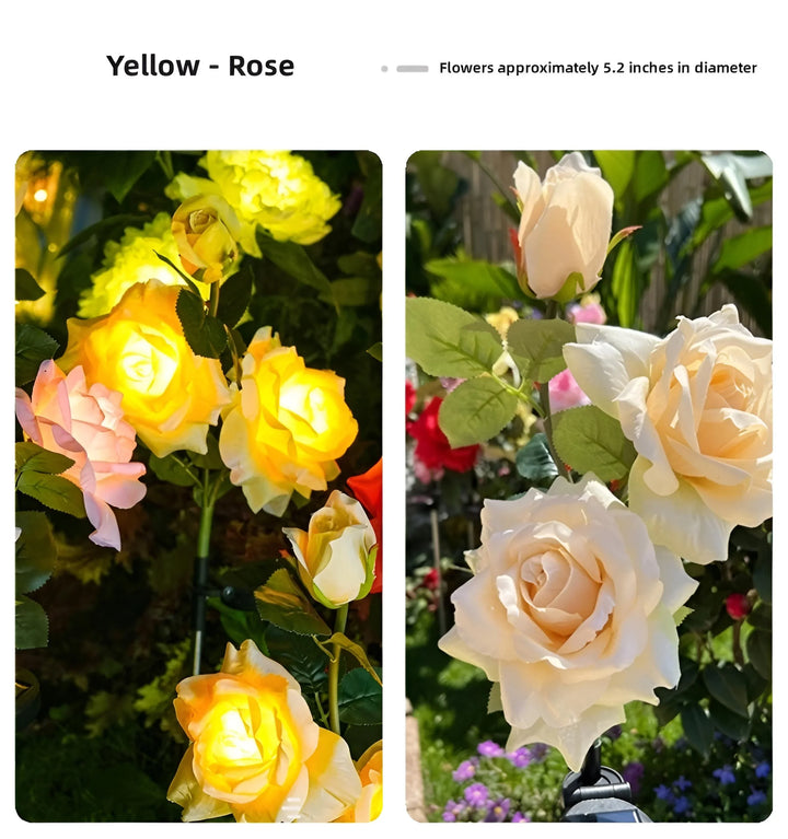 ROSE SOLAR GARDEN LIGHTS