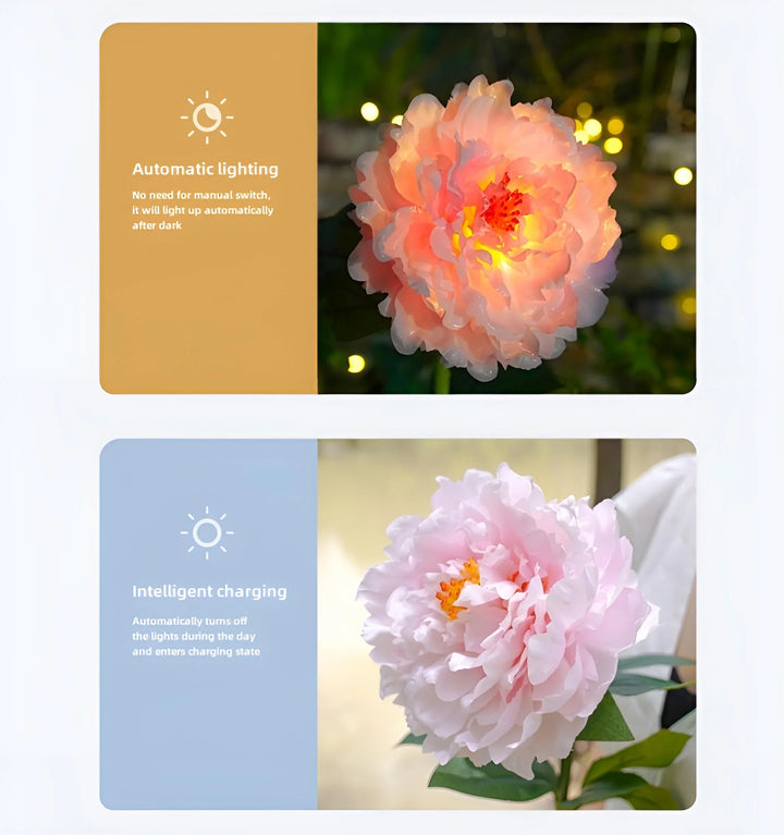 Peony Solar Garden Lights - Functions