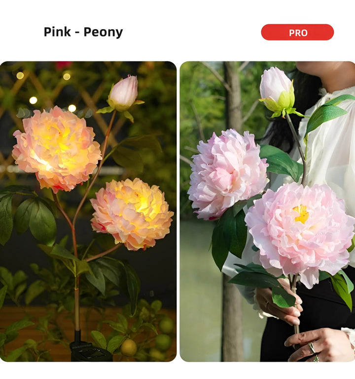 Peony Solar Garden Lights - PRO-Pink