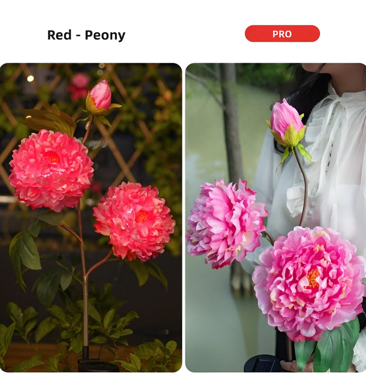 Peony Solar Garden Lights - PRO-Red