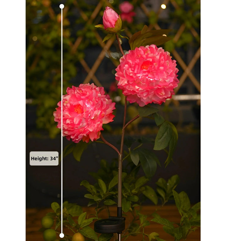 Peony Solar Garden Lights - PRO Size