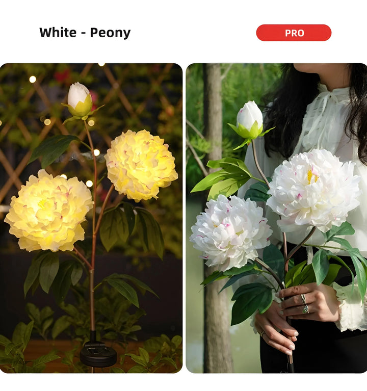 Peony Solar Garden Lights - PRO-White