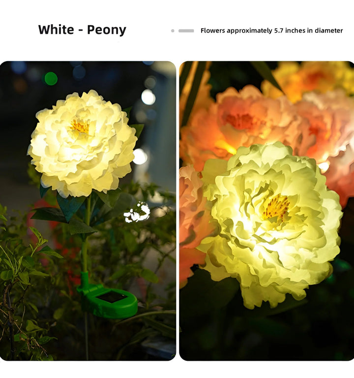 Peony Solar Garden Lights - SE-White