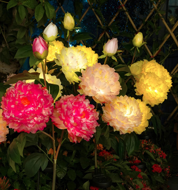 Peony Solar Garden Lights