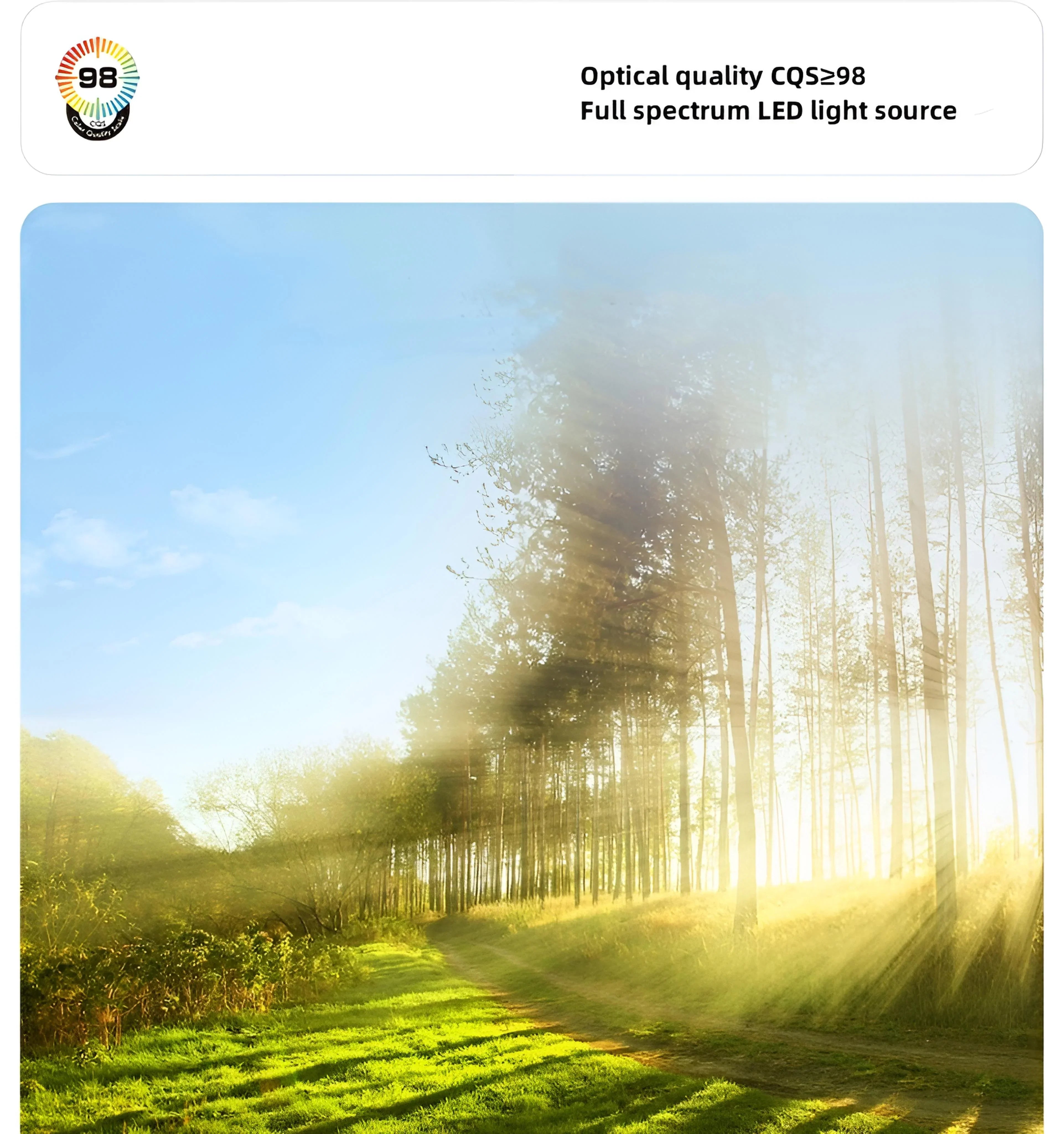 Nordic Planet Linear Chandelier