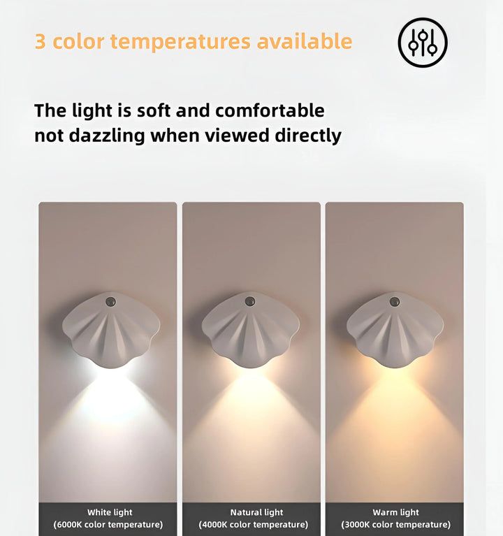 Seashell Picture Light - 3 color temperatures