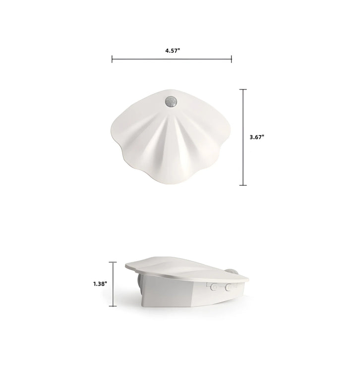 Seashell Picture Light - White