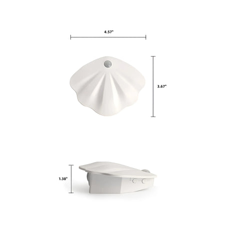 Seashell Picture Light - White
