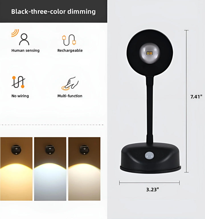 Motion Sensing Picture Light - Black Three Colors