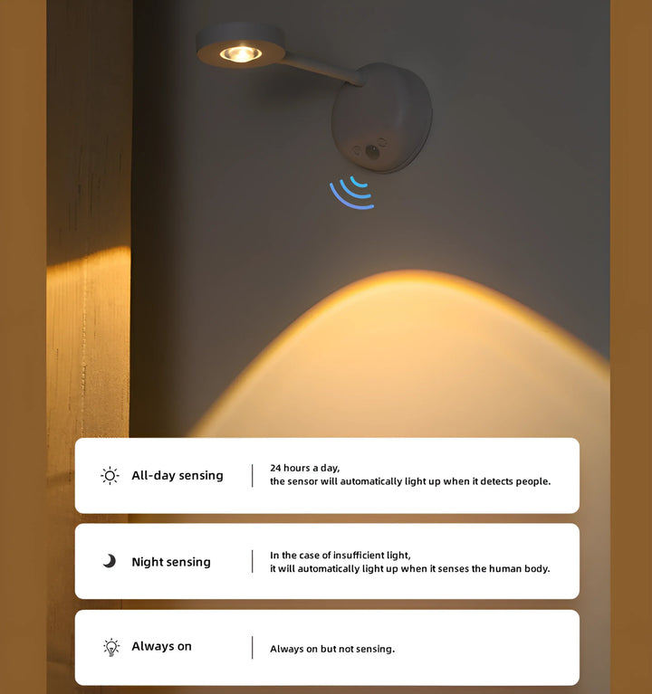 Motion Sensing Picture Light - Three modes