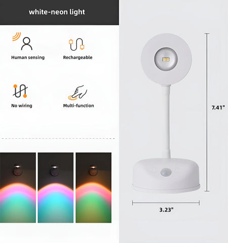 Motion Sensing Picture Light - White Neon light