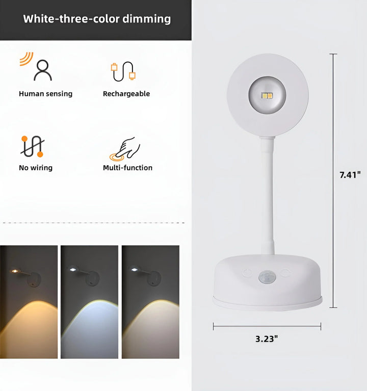 Motion Sensing Picture Light - White Three Colors