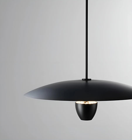 Planet Track Pendant Light